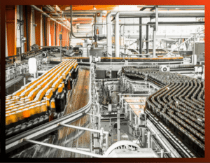 Food & Beverage Production