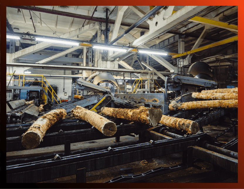 Forestry, Lumber, Pulp & Paper